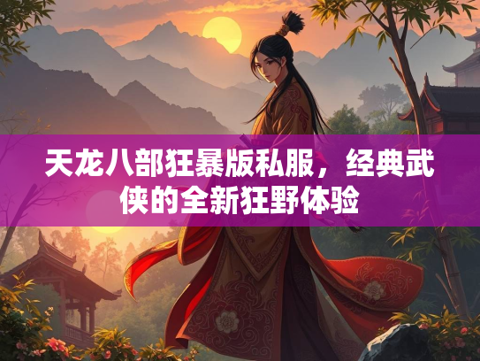 天龙八部狂暴版私服，经典武侠的全新狂野体验  第1张