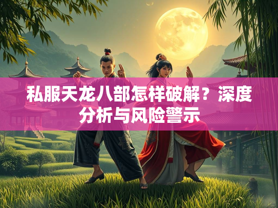 私服天龙八部怎样破解？深度分析与风险警示  第3张
