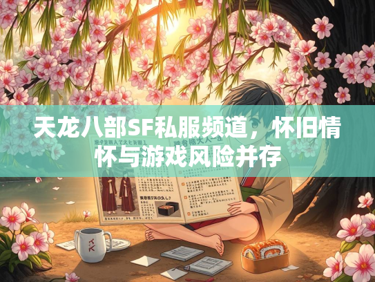 天龙八部SF私服频道，怀旧情怀与游戏风险并存  第1张