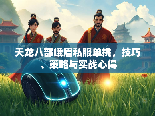 天龙八部峨眉私服单挑，技巧、策略与实战心得  第2张