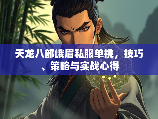 天龙八部峨眉私服单挑，技巧、策略与实战心得  第3张