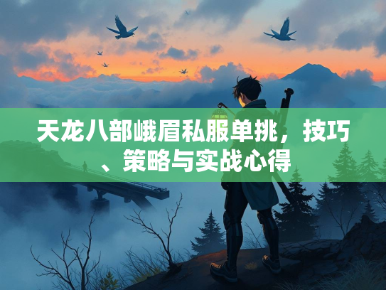 天龙八部峨眉私服单挑，技巧、策略与实战心得  第1张