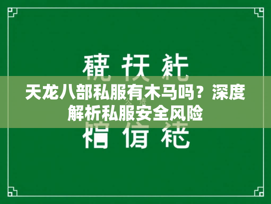 天龙八部私服有木马吗？深度解析私服安全风险  第2张