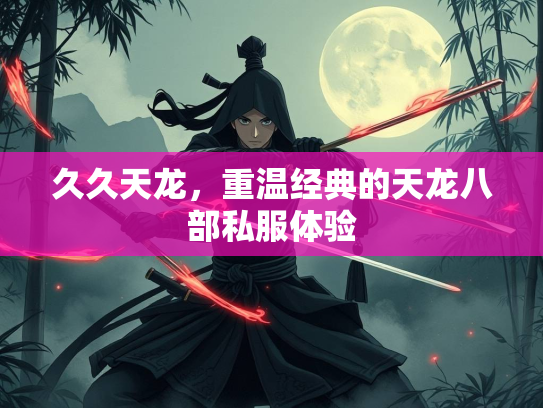 久久天龙，重温经典的天龙八部私服体验  第2张