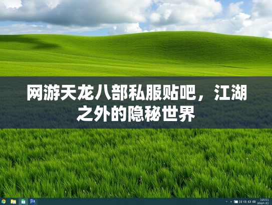 网游天龙八部私服贴吧，江湖之外的隐秘世界  第2张