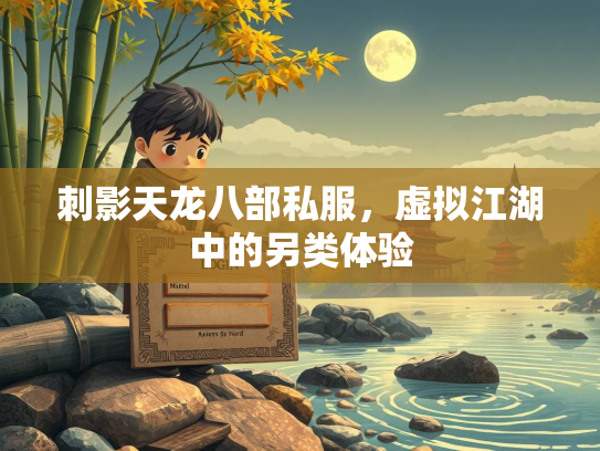 刺影天龙八部私服，虚拟江湖中的另类体验  第2张