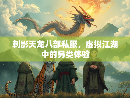 刺影天龙八部私服，虚拟江湖中的另类体验