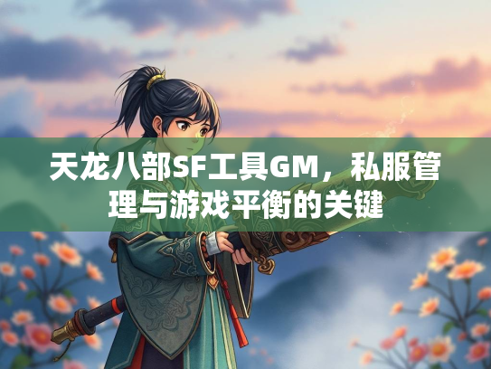 天龙八部SF工具GM，私服管理与游戏平衡的关键  第3张