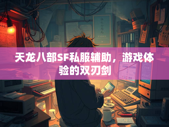 天龙八部SF私服辅助，游戏体验的双刃剑  第1张