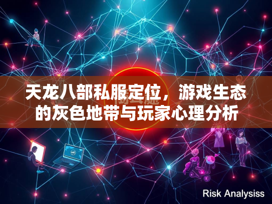天龙八部私服定位，游戏生态的灰色地带与玩家心理分析  第2张
