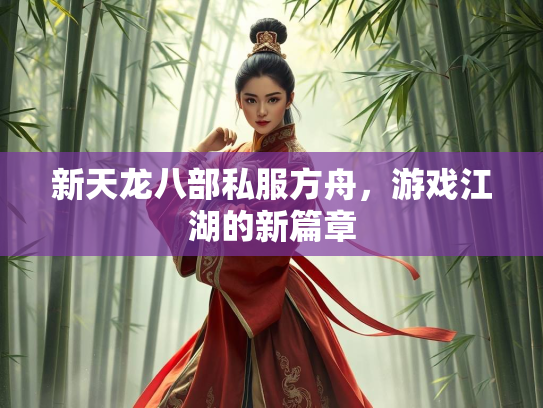新天龙八部私服方舟，游戏江湖的新篇章  第1张