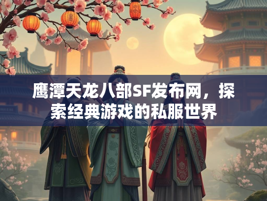 鹰潭天龙八部SF发布网，探索经典游戏的私服世界  第3张