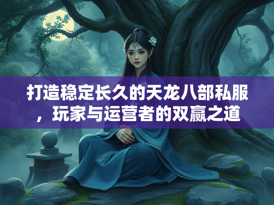 打造稳定长久的天龙八部私服，玩家与运营者的双赢之道  第2张