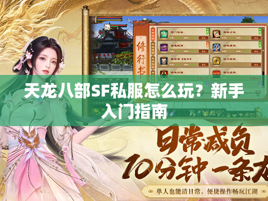 天龙八部SF私服怎么玩？新手入门指南  第2张