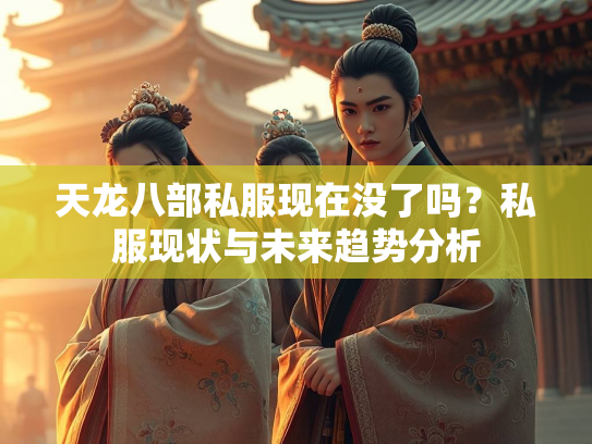 天龙八部私服现在没了吗？私服现状与未来趋势分析  第2张