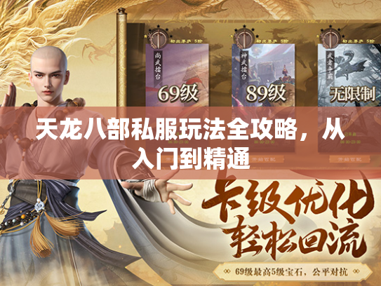 天龙八部私服玩法全攻略，从入门到精通  第2张