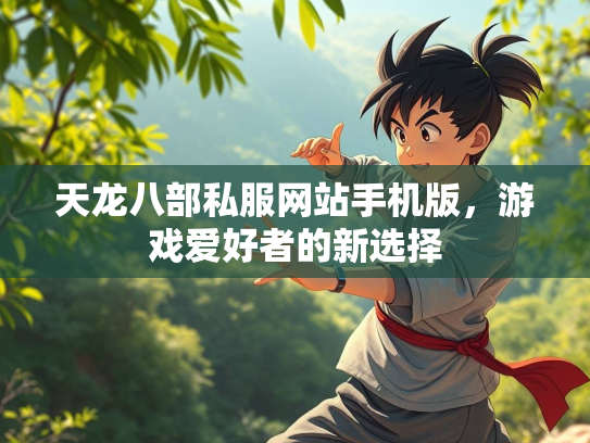 天龙八部私服网站手机版，游戏爱好者的新选择  第3张