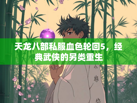 天龙八部私服血色轮回5，经典武侠的另类重生  第2张
