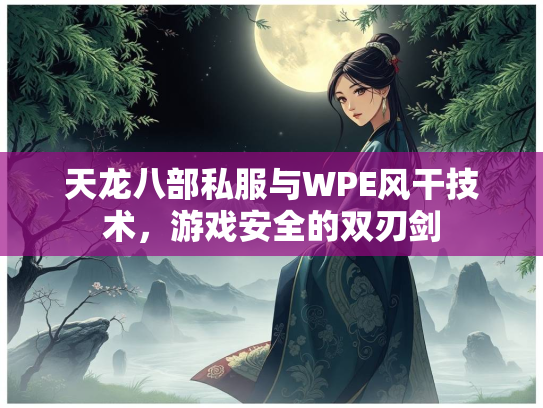 天龙八部私服与WPE风干技术，游戏安全的双刃剑  第1张