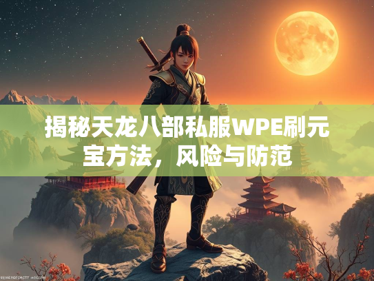 揭秘天龙八部私服WPE刷元宝方法，风险与防范  第2张