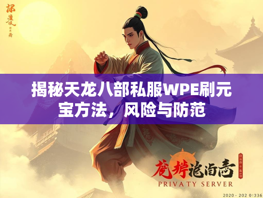 揭秘天龙八部私服WPE刷元宝方法，风险与防范  第1张
