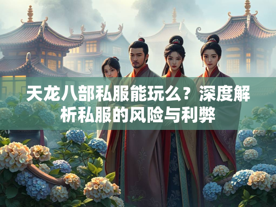 天龙八部私服能玩么？深度解析私服的风险与利弊  第2张