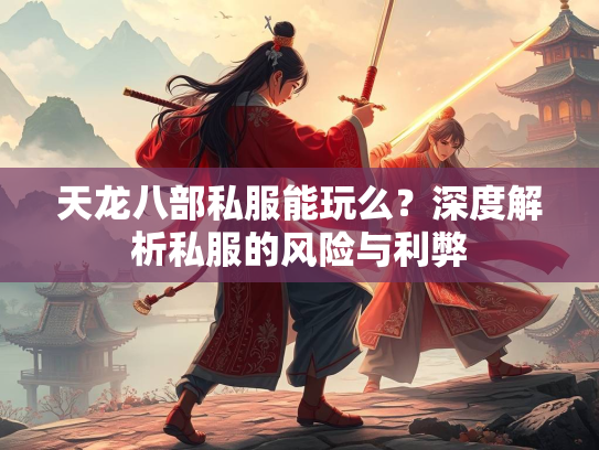 天龙八部私服能玩么？深度解析私服的风险与利弊  第3张