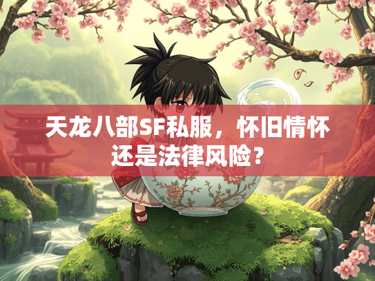 天龙八部SF私服，怀旧情怀还是法律风险？