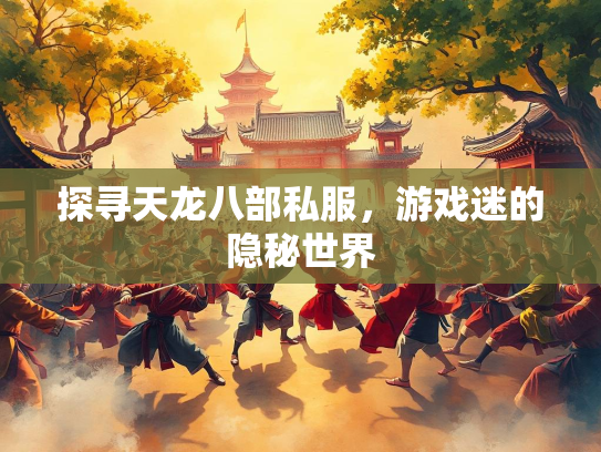 探寻天龙八部私服，游戏迷的隐秘世界  第3张