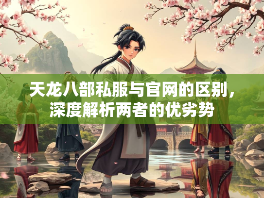 天龙八部私服与官网的区别，深度解析两者的优劣势  第2张