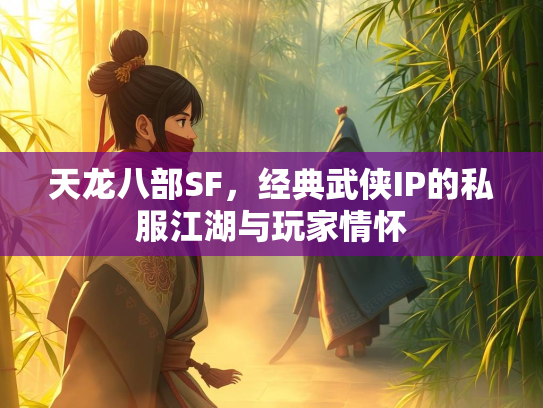 天龙八部SF，经典武侠IP的私服江湖与玩家情怀  第3张