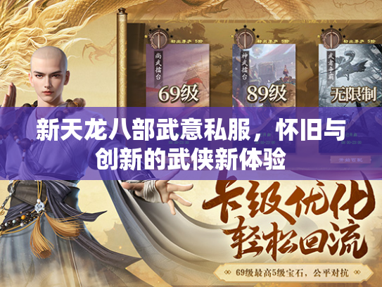 新天龙八部武意私服，怀旧与创新的武侠新体验  第2张