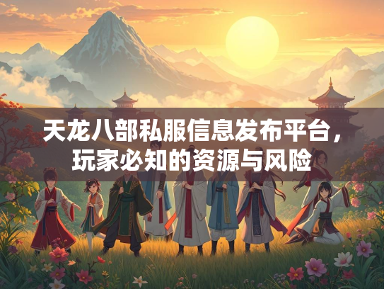 天龙八部私服信息发布平台，玩家必知的资源与风险  第1张