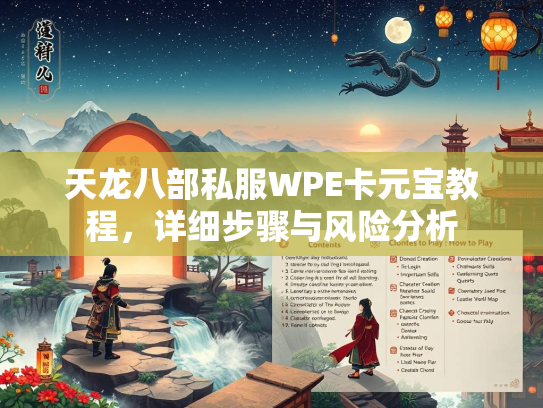 天龙八部私服WPE卡元宝教程，详细步骤与风险分析  第2张