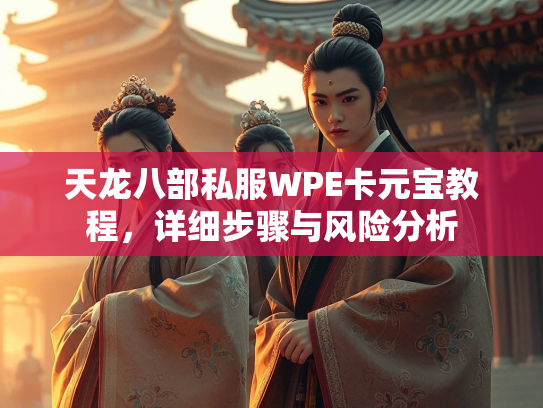 天龙八部私服WPE卡元宝教程，详细步骤与风险分析  第3张