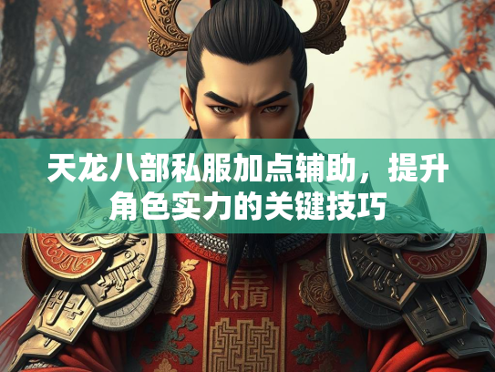 天龙八部私服加点辅助，提升角色实力的关键技巧  第3张