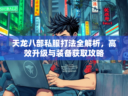 天龙八部私服打法全解析，高效升级与装备获取攻略  第1张