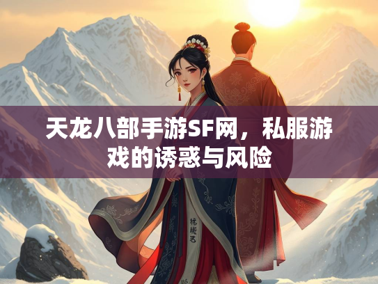 天龙八部手游SF网，私服游戏的诱惑与风险  第2张