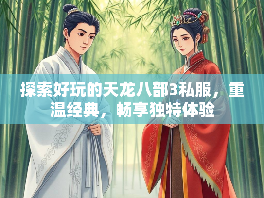 探索好玩的天龙八部3私服，重温经典，畅享独特体验  第2张