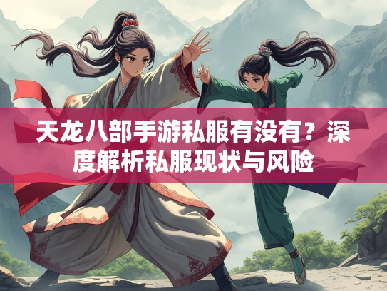 天龙八部手游私服有没有？深度解析私服现状与风险  第1张