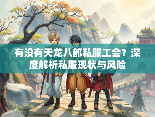 有没有天龙八部私服工会？深度解析私服现状与风险  第1张