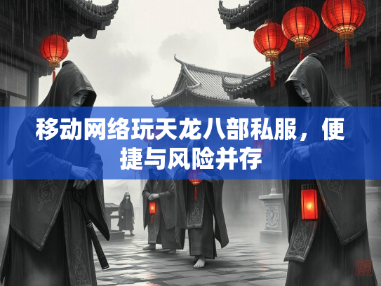 移动网络玩天龙八部私服，便捷与风险并存  第2张