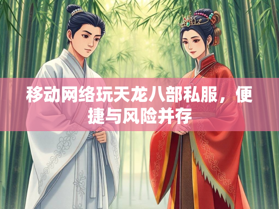 移动网络玩天龙八部私服，便捷与风险并存
