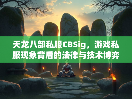 天龙八部私服CBSig，游戏私服现象背后的法律与技术博弈  第2张