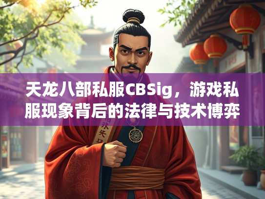 天龙八部私服CBSig，游戏私服现象背后的法律与技术博弈  第3张