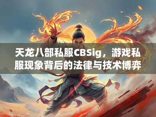 天龙八部私服CBSig，游戏私服现象背后的法律与技术博弈  第1张