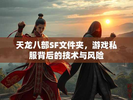 天龙八部SF文件夹，游戏私服背后的技术与风险  第2张