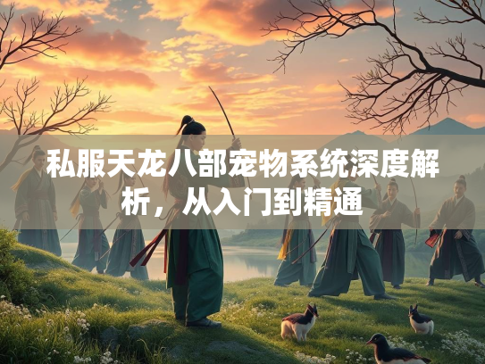 私服天龙八部宠物系统深度解析，从入门到精通  第2张