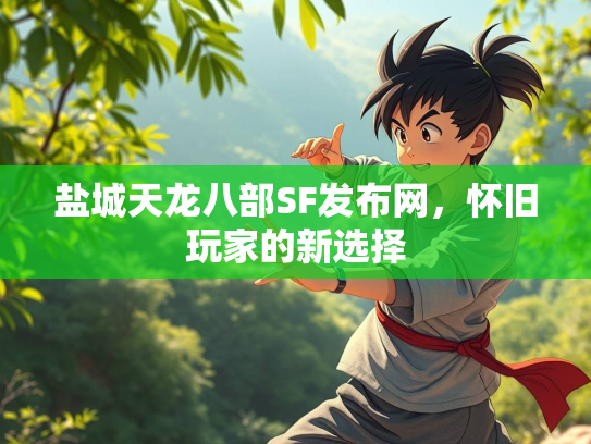 盐城天龙八部SF发布网，怀旧玩家的新选择  第1张
