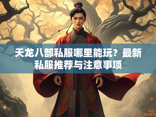 天龙八部私服哪里能玩？最新私服推荐与注意事项  第3张